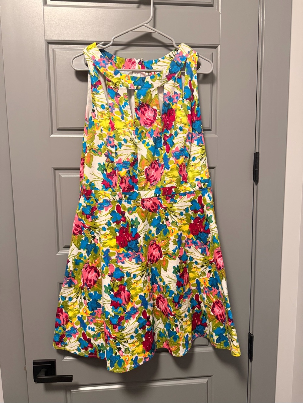 R & K Originals Vintage Sleeveless Floral Fit-and-Flare Dress 16